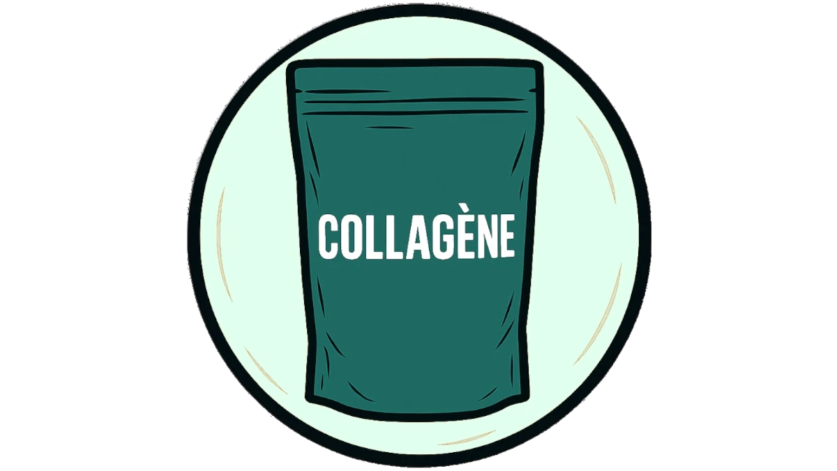 Collagène
