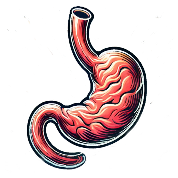 Digestion